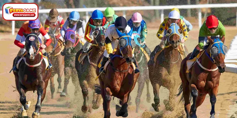 The Growth of Horse Racing Betting PH on the PERYAGAME Platform