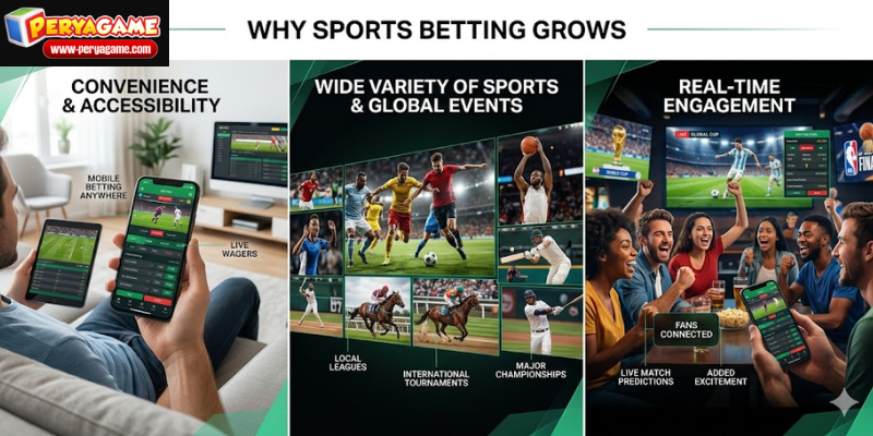 Why Sports Betting Continues to Grow